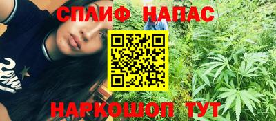 гашик Гагарин