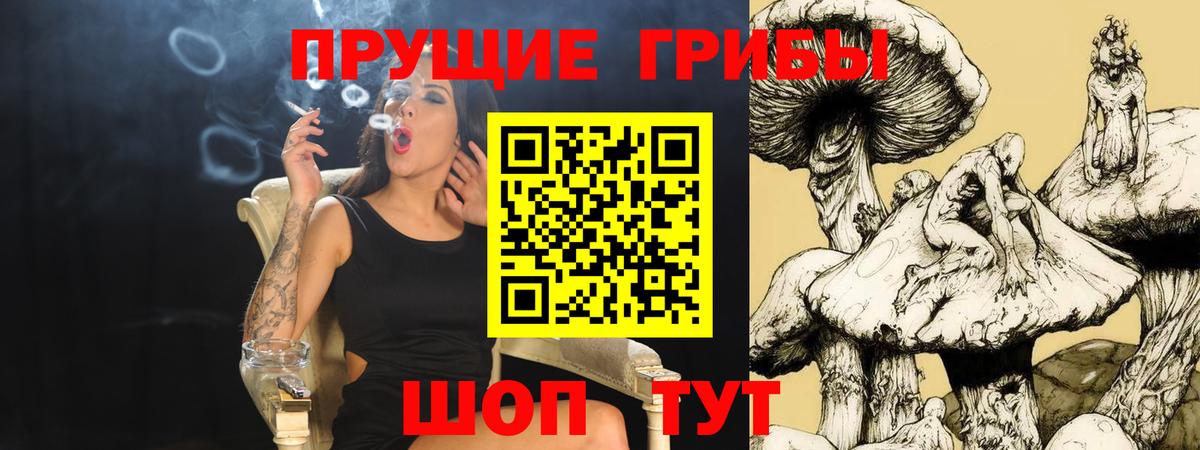 Псилоцибиновые грибы Psilocybe Кумертау